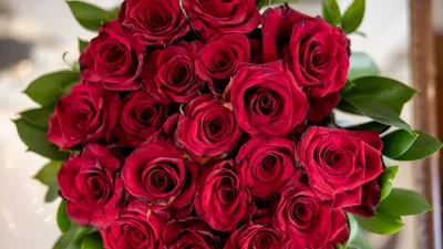 Обои Цветы Розы, обои для рабочего стола, фотографии цветы, розы, розовая,  роза, макро Обои для рабочего стола, скачать обои картинки заставки на  рабочий стол.