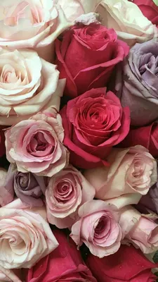 Фотообои розы на стену: каталог, цена, фото - \"Шпалерня\"