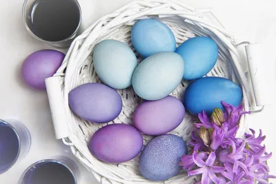 Easter eggs. Пасхальные яйца. PNG. в 2023 г | Пасхальные яйца, Пасхальные  открытки, Яйца