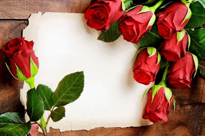 Картинки на рабочий стол природа цветы розы фотографии