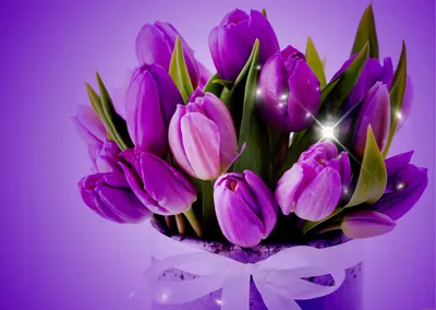 Картинки на рабочий стол цветы тюльпаны фото