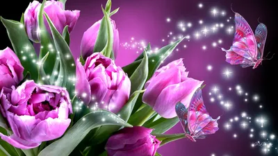 Коллаж из розовых тюльпанов и бабочки - обои на рабочий стол