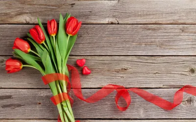Красивые картинки тюльпанов на рабочий стол (56 фото) - 56 фото