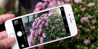 Появились фото очередного смартфона A-серии Samsung — Galaxy A55 — Ferra.ru