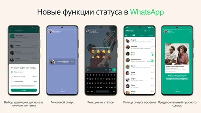 Лайфхак для профессионала: «Как использовать «Статус» в WhatsApp в виде  ненавязчивой рекламы»