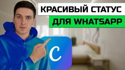 Как продвигаться через статусы в WhatsApp? — Наталия Пигаленкова на  TenChat.ru