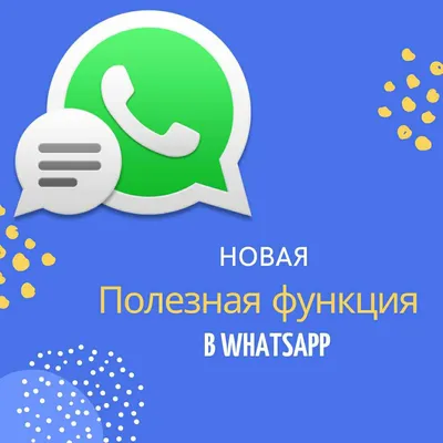 Как сделать и посмотреть статус в Ватсапе - AndroidInsider.ru