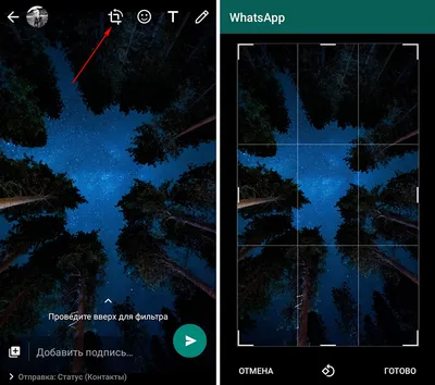 Теперь пользователи WhatsApp могут скрывать информацию о профиле, как статус,  время последнего посещения, фото и сведения от определенных… | Instagram