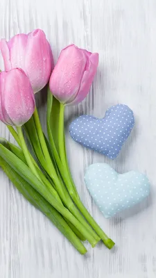 Фото День всех влюблённых Сердце розовых Тюльпаны цветок 1080x1920