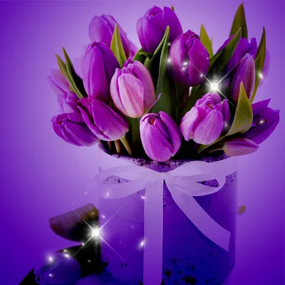 Обои на телефон тюльпаны, цветы, букет, белый - скачать бесплатно в высоком  качестве из категории \"Цветы\"