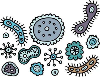Зародыши И Бактерии — стоковая векторная графика и другие изображения на тему  Бактерия - Бактерия, Вирус, Комикс - iStock