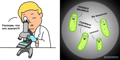 Calaméo - тест Бактерии