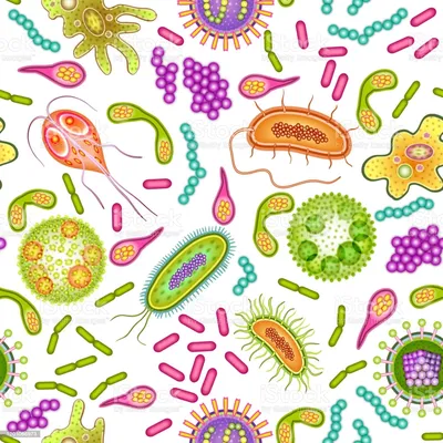 Реферат бактерии микра | Рефераты Микробиология | Docsity