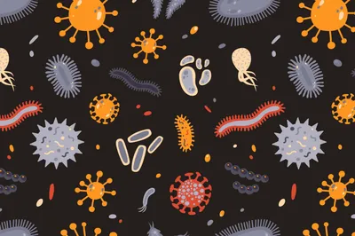 Значение гетерогенности популяции бактерий, создаваемой процессом  диссоциации, для роста пурпурных фотосинтезирующих бактерий в естественных  местах их обитания – тема научной статьи по биологическим наукам читайте  бесплатно текст научно ...