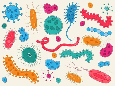 Бактерии И Вирусы Красочные Коллекции Микроорганизмов Плоские Векторные  Бактерии Вирусы Грибки Простейшие Плоская Векторная Иллюстра — стоковая  векторная графика и другие изображения на тему Бактерия - iStock
