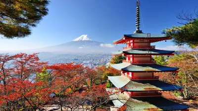 Продолжаю тему: неизвестные и удивительные факты о Японии | Записки  фриланессы | Дзен