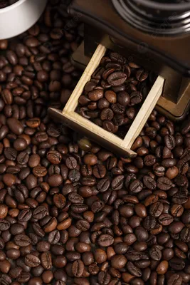 Бесплатные стоковые фото на тему кофе, кофеин, кофейные зерна, кружка,  напиток, пить, руки, чашка, чашка кофе, черный кофе