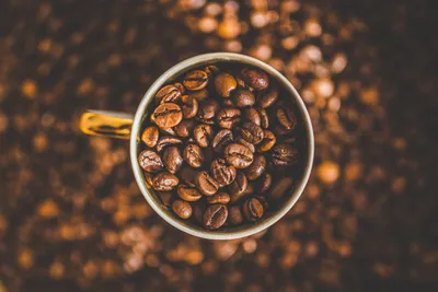Чашка Кофе — стоковая векторная графика и другие изображения на тему Кофе -  напиток - Кофе - напиток, Чашка, Кофейная кружка - iStock