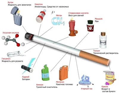 Вред курения реферат по безопасности жизнедеятельности | Сочинения Основы  биологической безопасности | Docsity