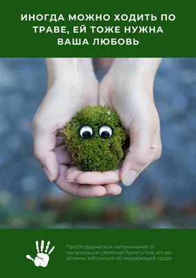 Бесплатные шаблоны плакатов о защите окружающей среды | Скачать дизайн и  макет для экологических постеров онлайн | Canva