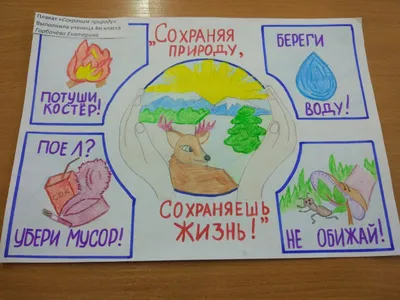 Тема урока: Environmental Protection ( Охрана окружающей среды) Презентация  урока в 7 классе по УМК К.И.Кауфман. - ppt download