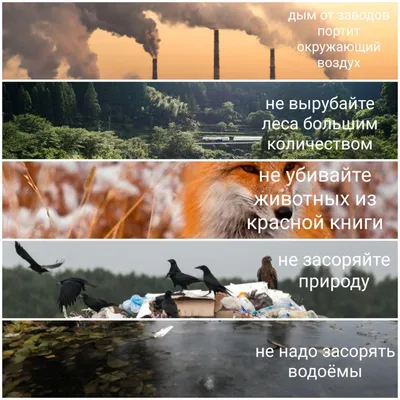 Картинки на тему охрана окружающей среды фотографии