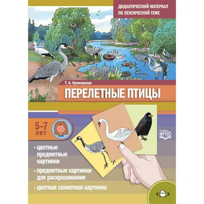 ПОКОРМИТЕ ПТИЦ. Крылатая тема. ПТИЦЫ ЗВЕРИ и ВСЕ ВСЕ ВСЕ - обсуждение на  форуме e1.ru - страница 97