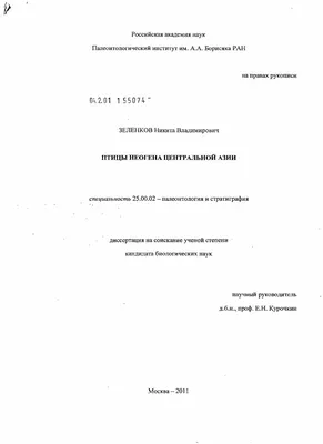 Фон для презентации на тему зимующие птицы (58 фото) » ФОНОВАЯ ГАЛЕРЕЯ  КАТЕРИНЫ АСКВИТ