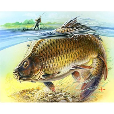 Картинки на тему рыбалка - 72 фото