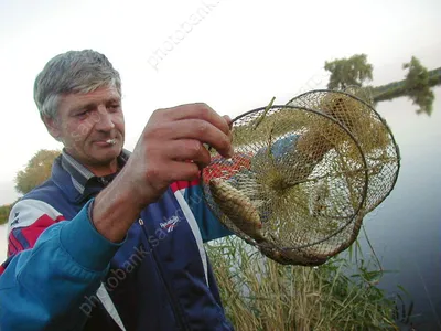 Рыбалка | Пикабу