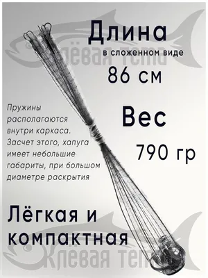 Шорты с 3D принтом на тему: Рыбалка. Щука (ID#1466133934), цена: 780 ₴,  купить на Prom.ua