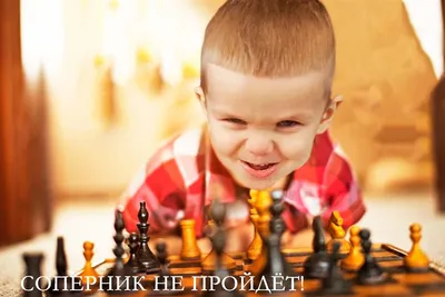 Шахматы на тему «Хохлома и Гжель» в виде матрешек купить в интернет  магазине | Брестская Матрешка