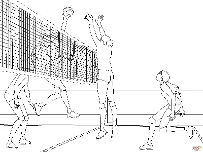 Красивые рисунки по теме: волейбол карандашом » Открытки, красивые картинки  и рисунки