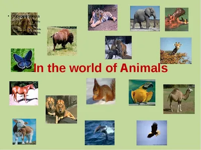 Картинки на тему #Животные - в Шедевруме