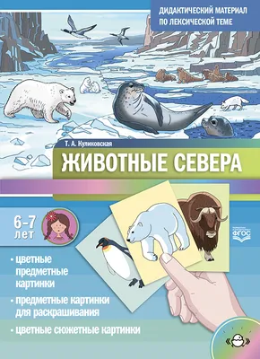 Аппликация для детей на тему животные «Белочка» (id 109450954), купить в  Казахстане, цена на Satu.kz
