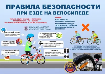 Польза езды на велосипеде: для женщин, мужчин, детей, пожилых и беременных