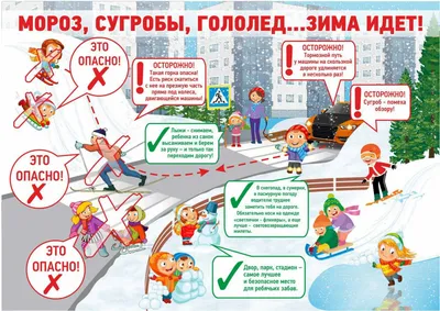 Развиваем внимание и логическое мышление. Для детей 4-6 лет | Бортникова  Елена Федоровна - купить с доставкой по выгодным ценам в интернет-магазине  OZON (474625086)