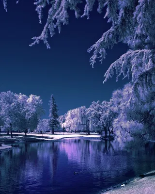Зимние картинки на телефон красивые - 67 фото