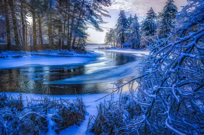 Зимние картинки на телефон красивые - 67 фото