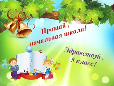 Как проходит обучение в начальной онлайн школе «Фоксфорда»: начальная школа  для семейного обучения