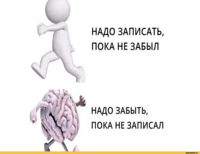 НАДО ЗАПИСАТЬ, ПОКА НЕ ЗАБЫЛ НАДО ЗАБЫТЬ, ПОКА НЕ ЗАПИСАЛ / приколы для  даунов :: смешные картинки (фото приколы) / смешные картинки и другие  приколы: комиксы, гиф анимация, видео, лучший интеллектуальный юмор.