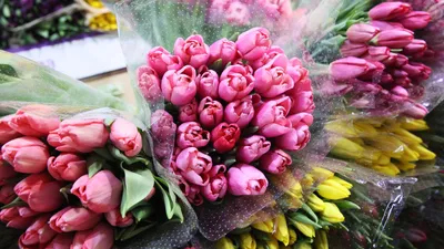 Сколько стоят цветы в Новосибирске накануне 8 марта | Новости – Gorsite.ru