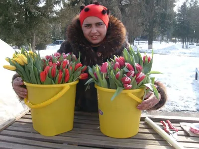 Накануне 8 марта женщин Сергиева Посада на улицах поздравят молодёжные  активисты