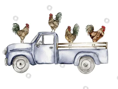 Нарисованная рукой иллюстрация петуха плана Doodle Декоративный в стиле  Zentangle Иллюстрация вектора - иллюстрации насчитывающей цыпленок, перо:  74946545