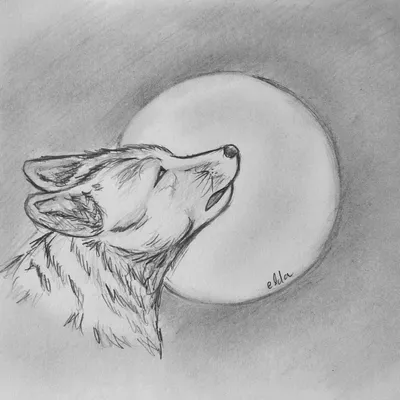 Картинки волков воющих на луну нарисованные карандашом (68 фото) » Картинки  и статусы про окружающий мир вокруг