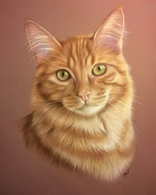 Нарисованного кота - картинки и фото koshka.top