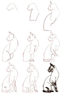 Комплект 3 нарисованных рукой котов Doodle графических черно-белых  Иллюстрация штока - иллюстрации насчитывающей украшение, кот: 70873780
