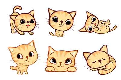 милый кот руки нарисованная Style Collection PNG , кошка, привлечено, милый  PNG картинки и пнг рисунок для бесплатной загрузки