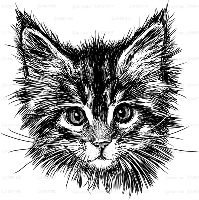 Нарисованная рука котенка кота Иллюстрация вектора - иллюстрации  насчитывающей киска, наконечников: 74035445