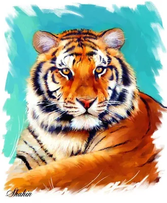 Картинки нарисованных тигров фотографии